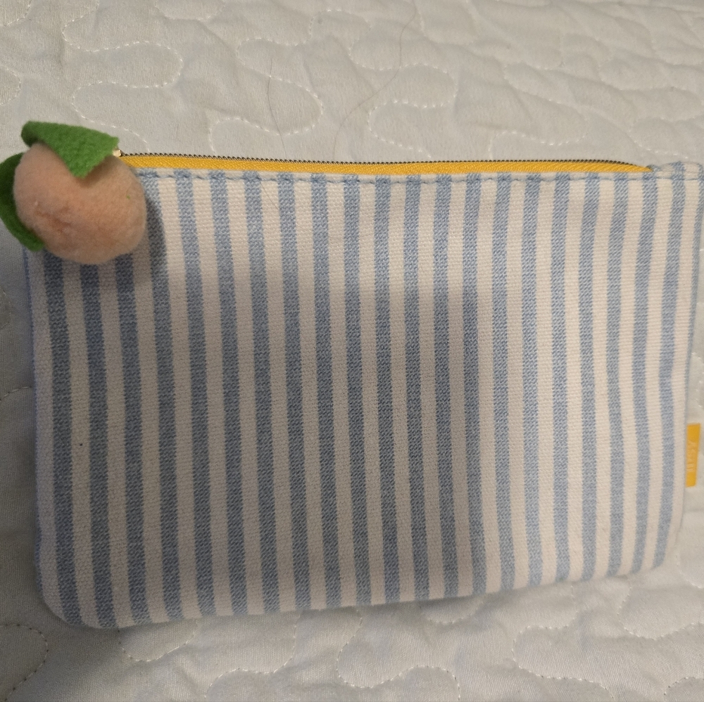 Ipsy Bag